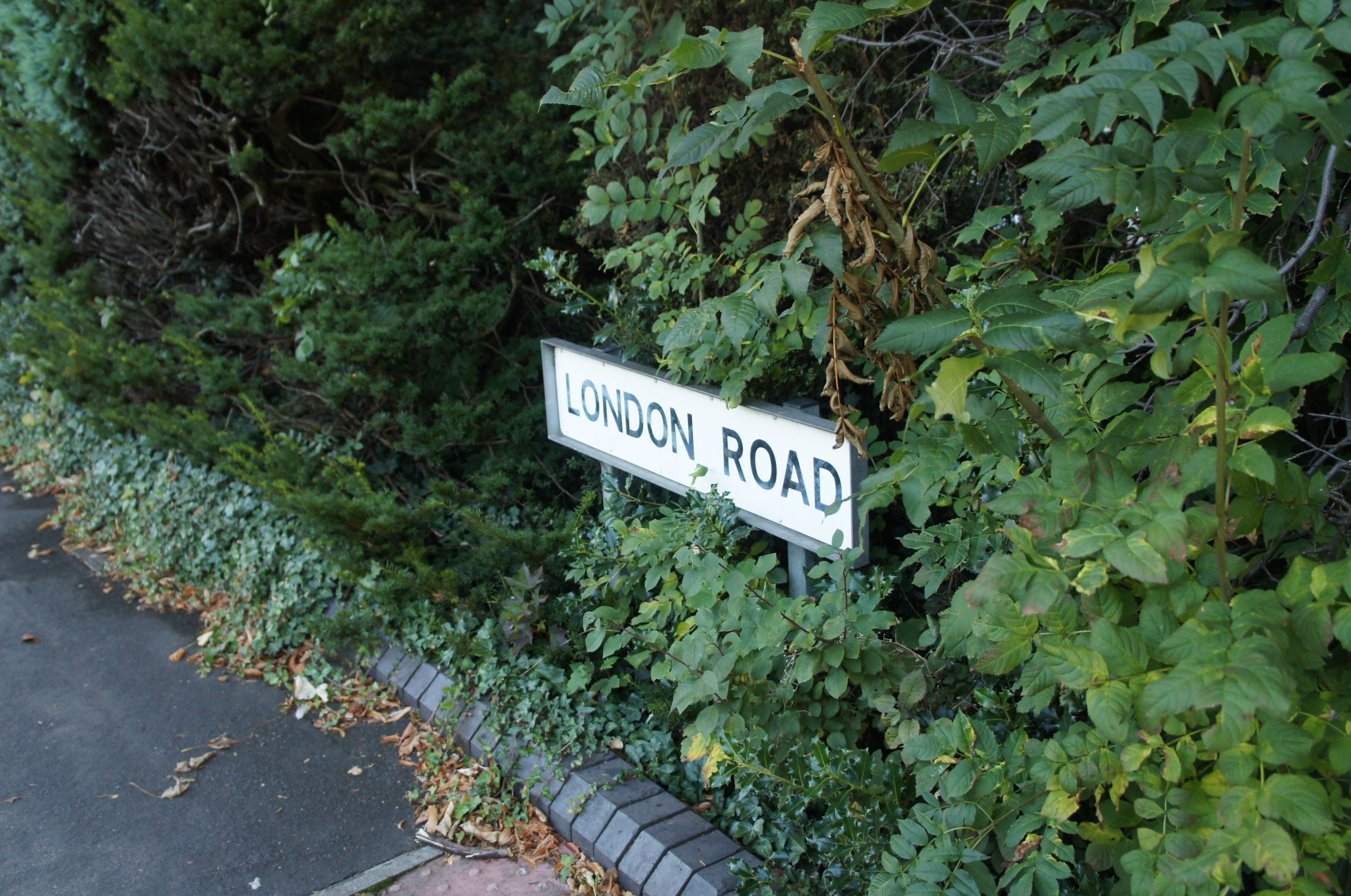 Featured image of post 伦敦路